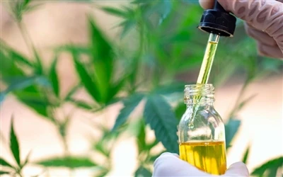 9 hälsofördelar med CBD-olja - och biverkningar