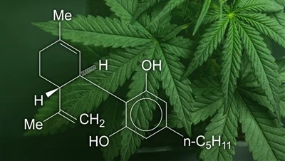 CBD, marijuana och hampa: Vad är skillnaden mellan dessa cannabisprodukter oc...