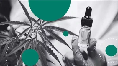 Hampa vs CBD: Vad är skillnaden?